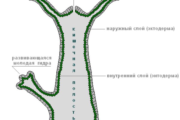 Как купить биткоин на блэкспрут