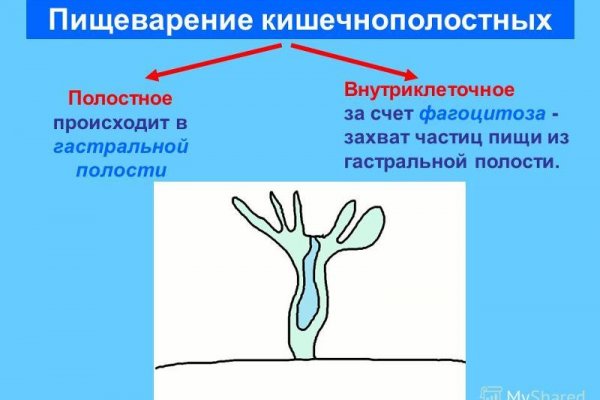 Первая покупка на блэкспрут через биткоины