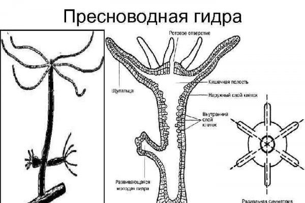 Ссылка на омг onion omgomgomgmplace com