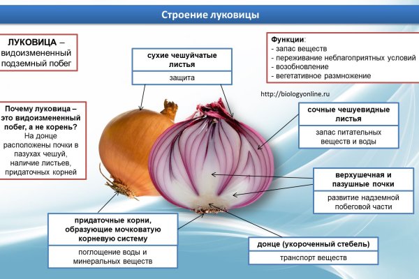 Как оформить оплату на блэкспрут через киви