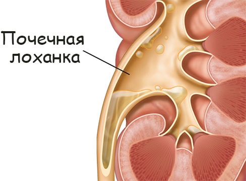 Правильная ссылка на кракен